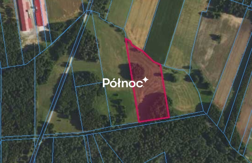 Działka rolna 1,70 ha, Rynki - zdjęcie 1