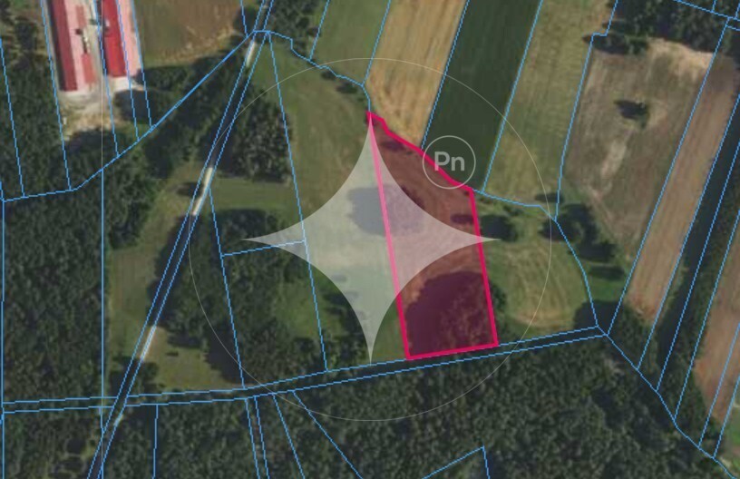 Działka rolna 1,70&nbsp;ha, Rynki - zdjęcie 1