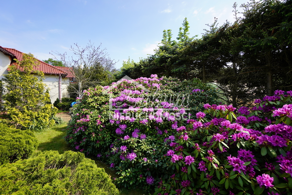 Dom 272,36 m², Szczecin - zdjęcie 4