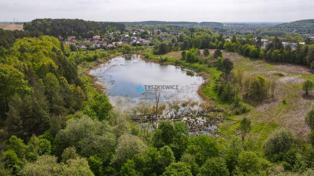 Ostatni szereg: Skrajny. Straszyn - zdjęcie 22