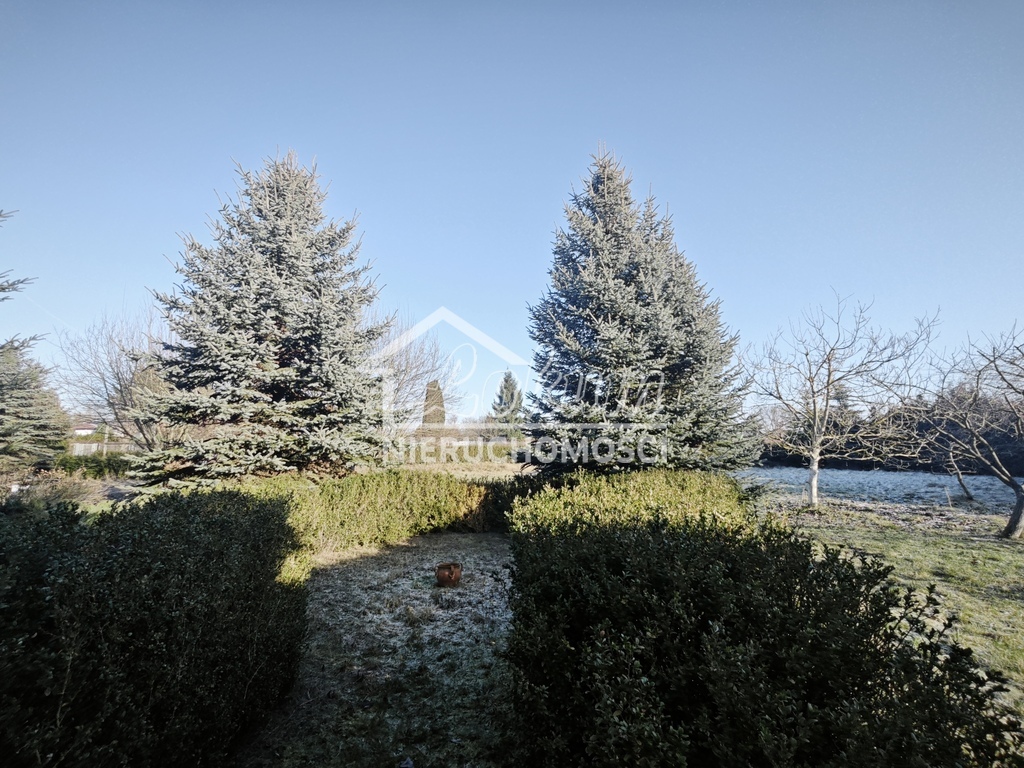 Lokal usługowy do wynajęcia, 56 m², Szczecin - zdjęcie 13