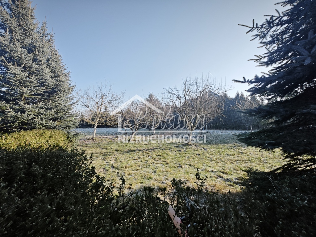 Lokal usługowy do wynajęcia, 56 m², Szczecin - zdjęcie 12