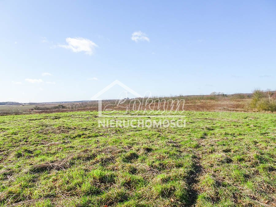 Działka budowlana 2001&nbsp;m², Dobra - zdjęcie 2