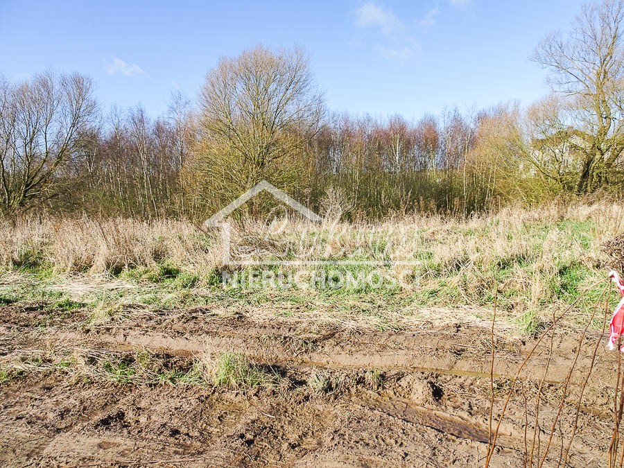 Działka budowlana 2001 m², Dobra - zdjęcie 3