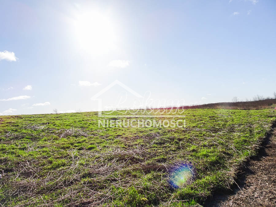 Działka budowlana 2001 m², Dobra - zdjęcie 5