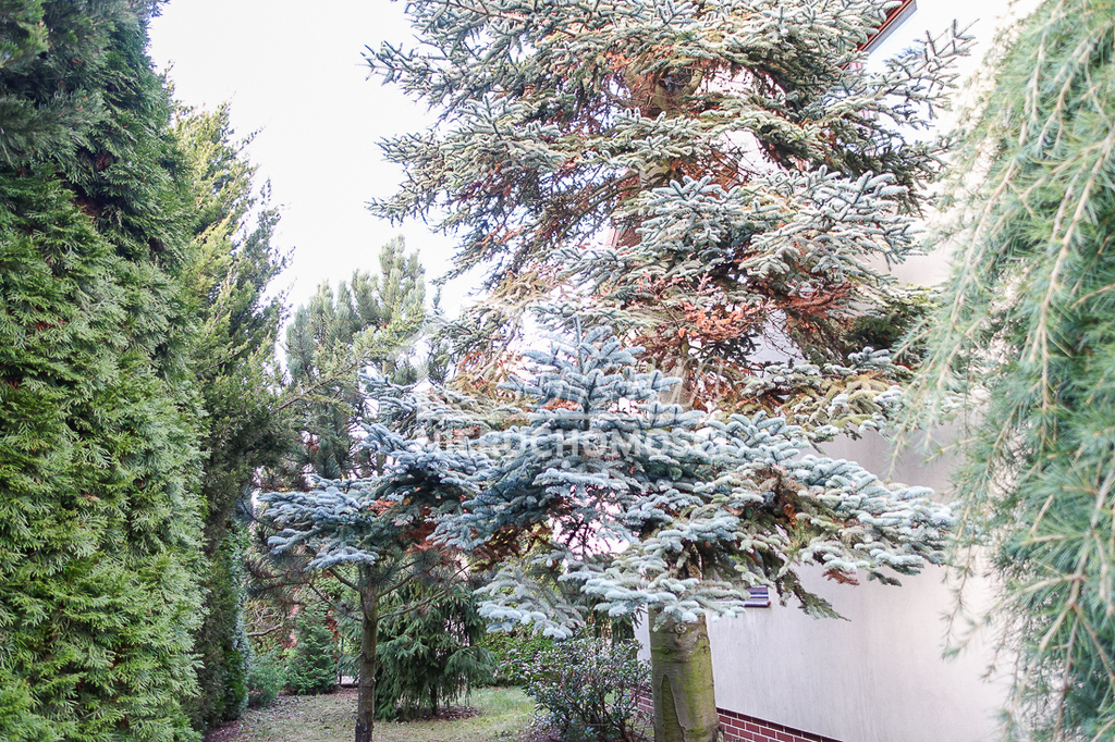 Dom 250 m², Szczecin, Gumieńce, Tyniecka - zdjęcie 19