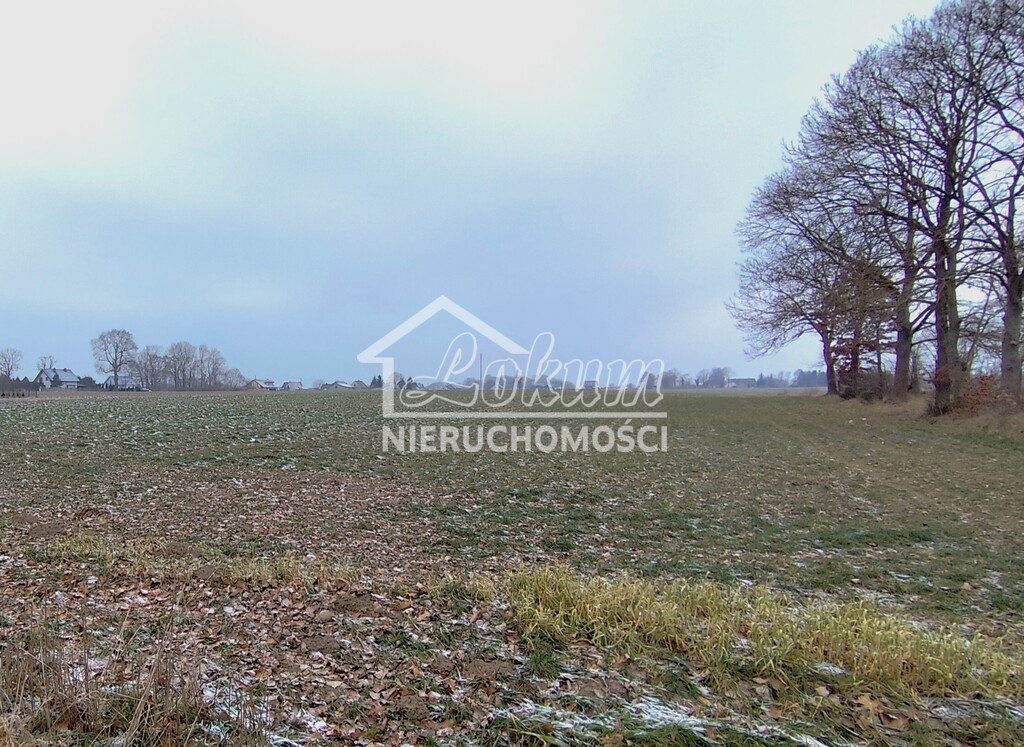 Działka budowlana 2486&nbsp;m², Wojcieszyn - zdjęcie 2