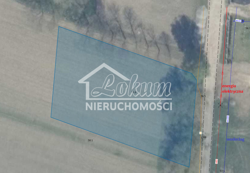 Działka budowlana 2486&nbsp;m², Wojcieszyn - zdjęcie 4