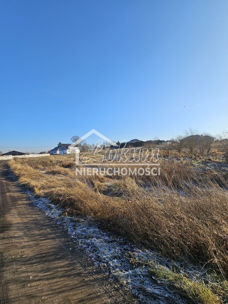 Działka budowlana 4700&nbsp;m², Mierzyn, Prosta - zdjęcie 8