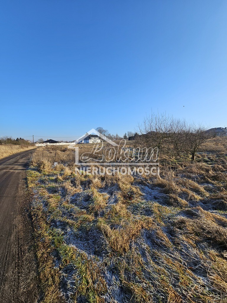 Działka budowlana 4700&nbsp;m², Mierzyn, Prosta - zdjęcie 9