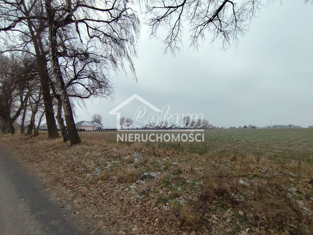 Działka budowlana 2666&nbsp;m², Wojcieszyn - zdjęcie 2