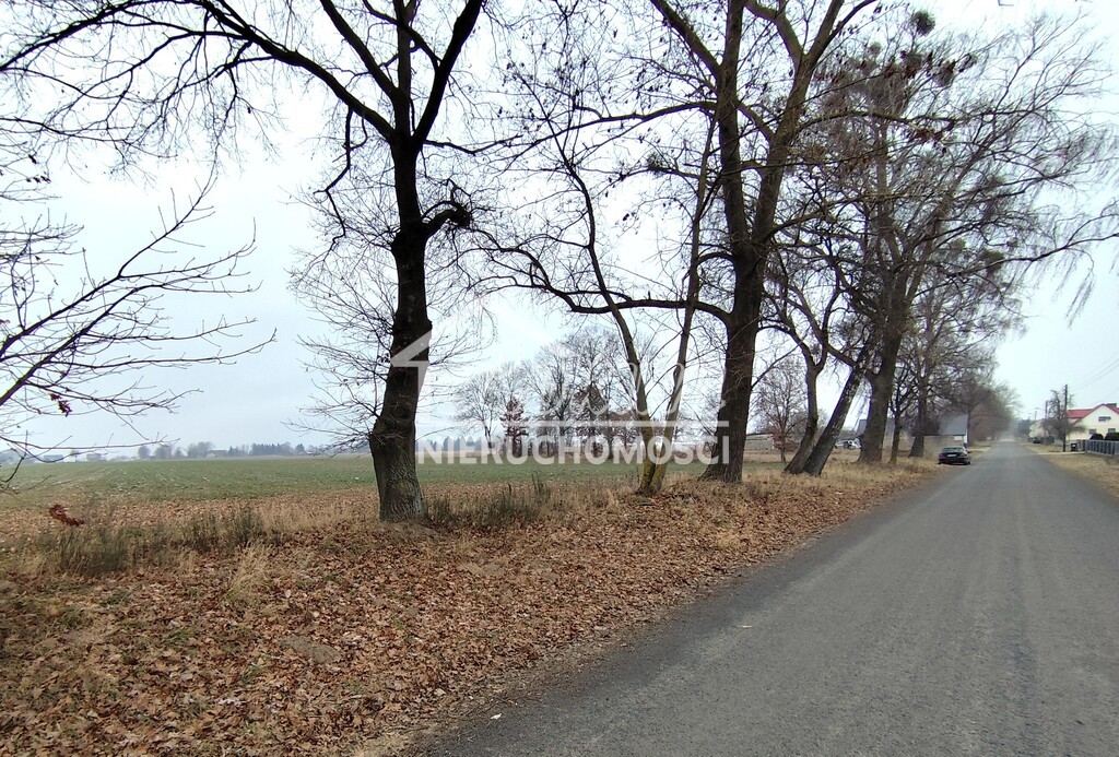 Działka budowlana 2666&nbsp;m², Wojcieszyn - zdjęcie 3