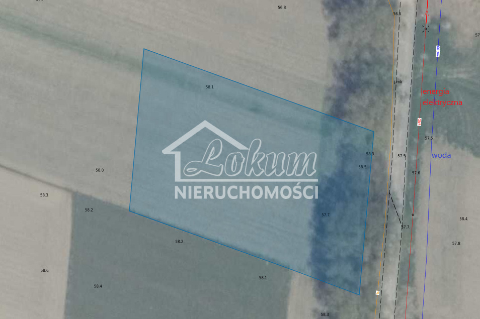 Działka budowlana 2666&nbsp;m², Wojcieszyn - zdjęcie 4