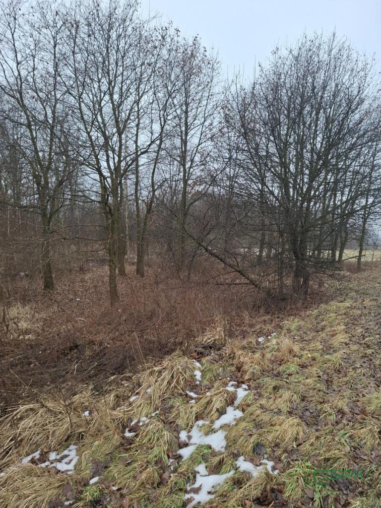Działka inwestycyjna 5339&nbsp;m², Brzeszcze, Przecieszyńska - zdjęcie 3