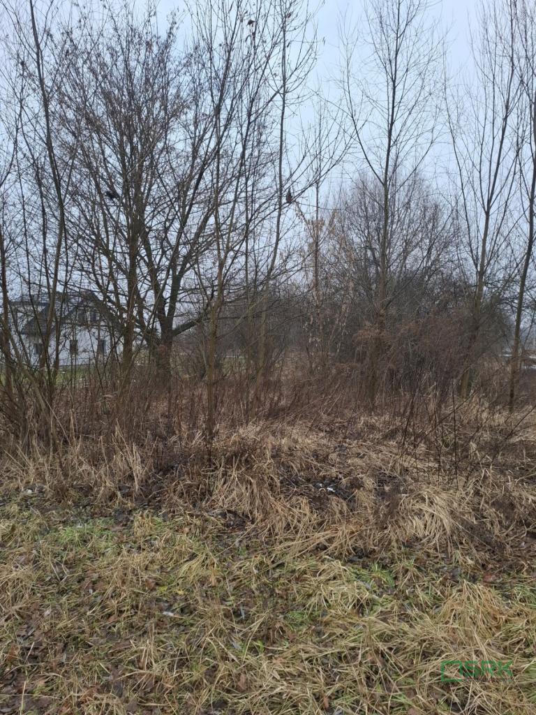 Działka inwestycyjna 5339&nbsp;m², Brzeszcze, Przecieszyńska - zdjęcie 4