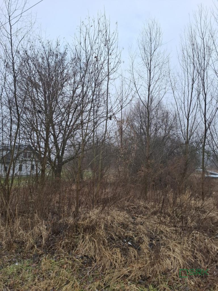 Działka inwestycyjna 5339&nbsp;m², Brzeszcze, Przecieszyńska - zdjęcie 5