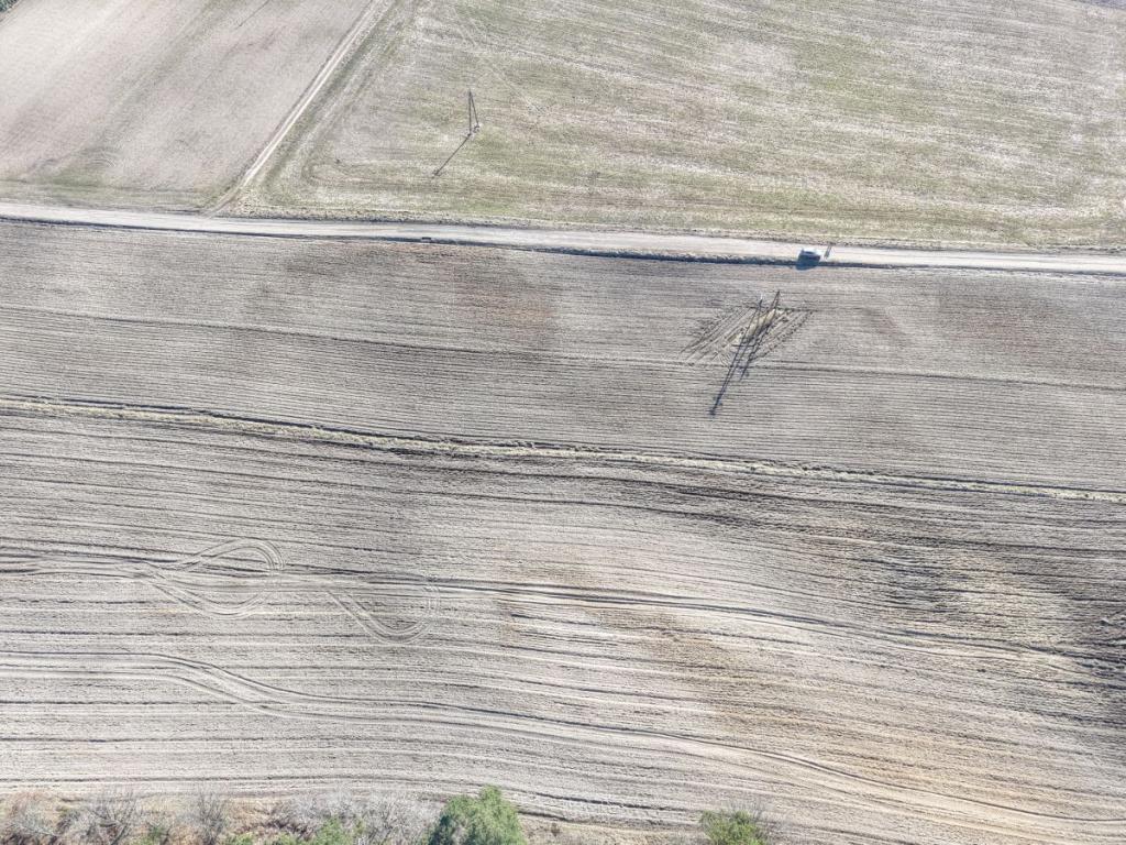 Działka z zabudową zagrodową w Bukowinie. - zdjęcie 10