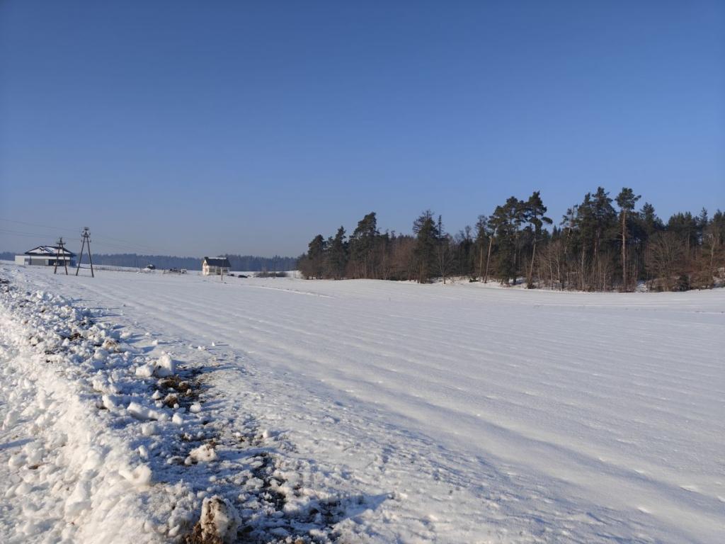 Działka z zabudową zagrodową w Bukowinie. - zdjęcie 1