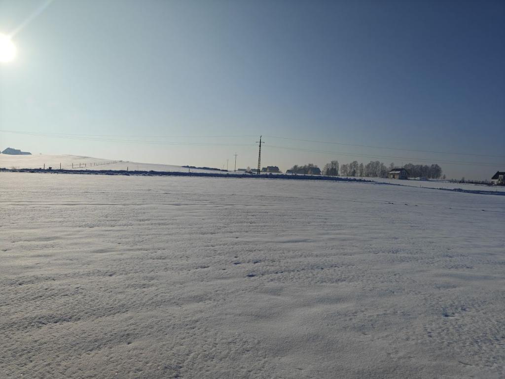 Działka z zabudową zagrodową w Bukowinie. - zdjęcie 8