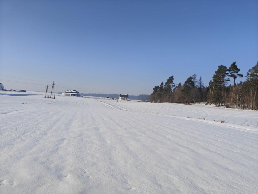Działka z zabudową zagrodową w Bukowinie. - zdjęcie 6