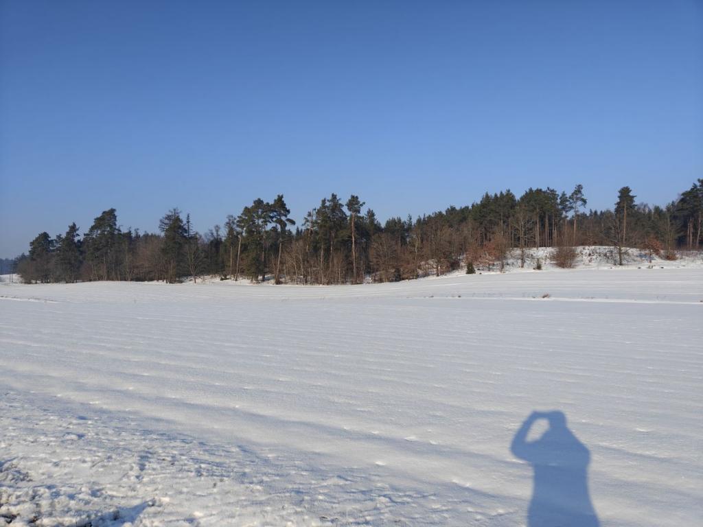 Działka z zabudową zagrodową w Bukowinie. - zdjęcie 3