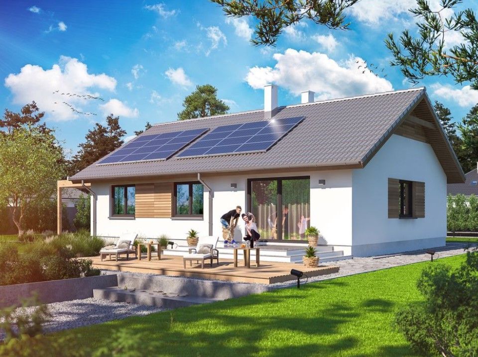 duża działka, porterówka, kanalizacja - zdjęcie 3