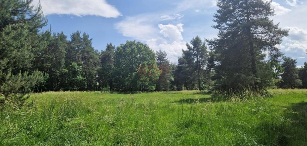 Działka budowlana 4,01 ha, Zębice, Parkowa - zdjęcie 10