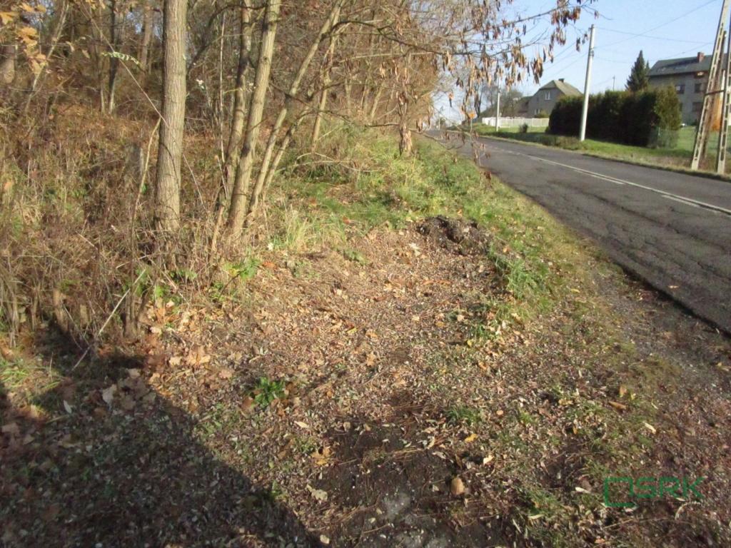 Działka inwestycyjna 4107&nbsp;m², Mszana, Wolności - zdjęcie 4