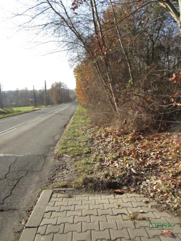 Działka inwestycyjna 4107&nbsp;m², Mszana, Wolności - zdjęcie 2