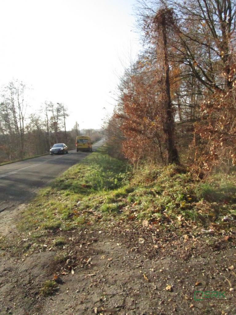 Działka inwestycyjna 4107&nbsp;m², Mszana, Wolności - zdjęcie 5