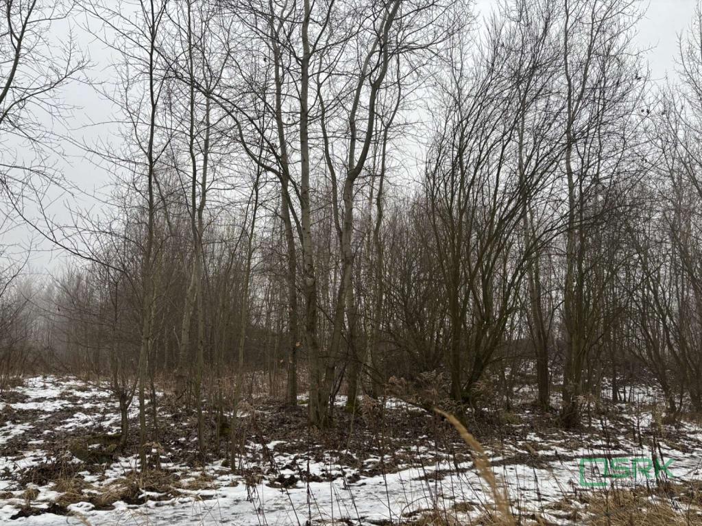 Działka inwestycyjna 963 m², Wodzisław Śląski, Czarnieckiego - zdjęcie 3