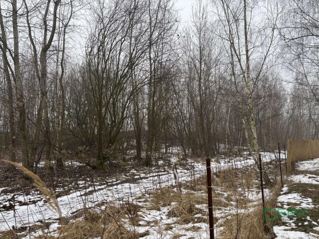 Działka inwestycyjna 963 m², Wodzisław Śląski, Czarnieckiego - zdjęcie 4