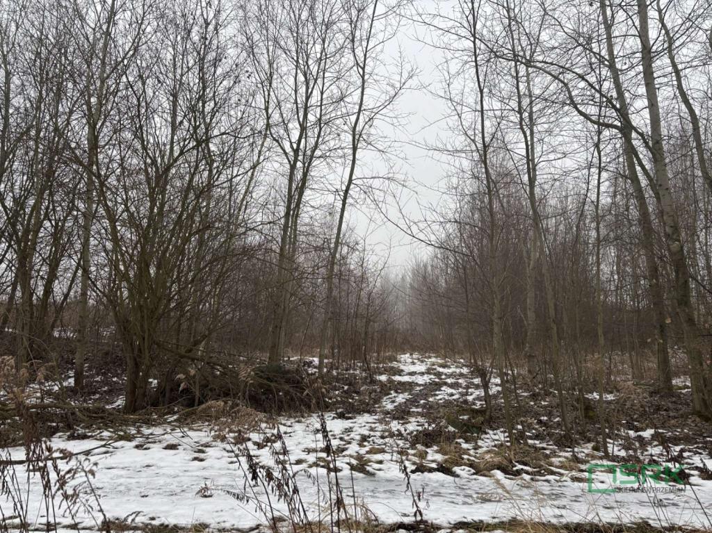 Działka inwestycyjna 963 m², Wodzisław Śląski, Czarnieckiego - zdjęcie 2