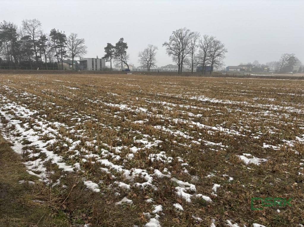 Działka inwestycyjna 5956&nbsp;m², Suszec, Kamienna - zdjęcie 3