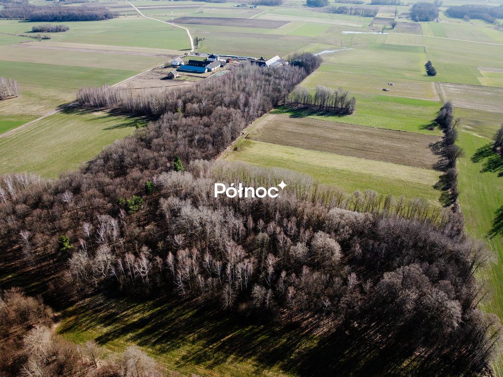 Działka budowlana 4643 m², Siestrzanki - zdjęcie 7