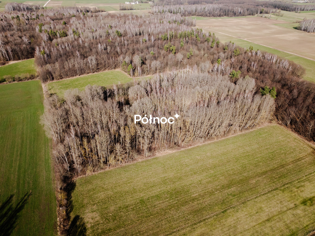 Działka budowlana 4643 m², Siestrzanki - zdjęcie 5