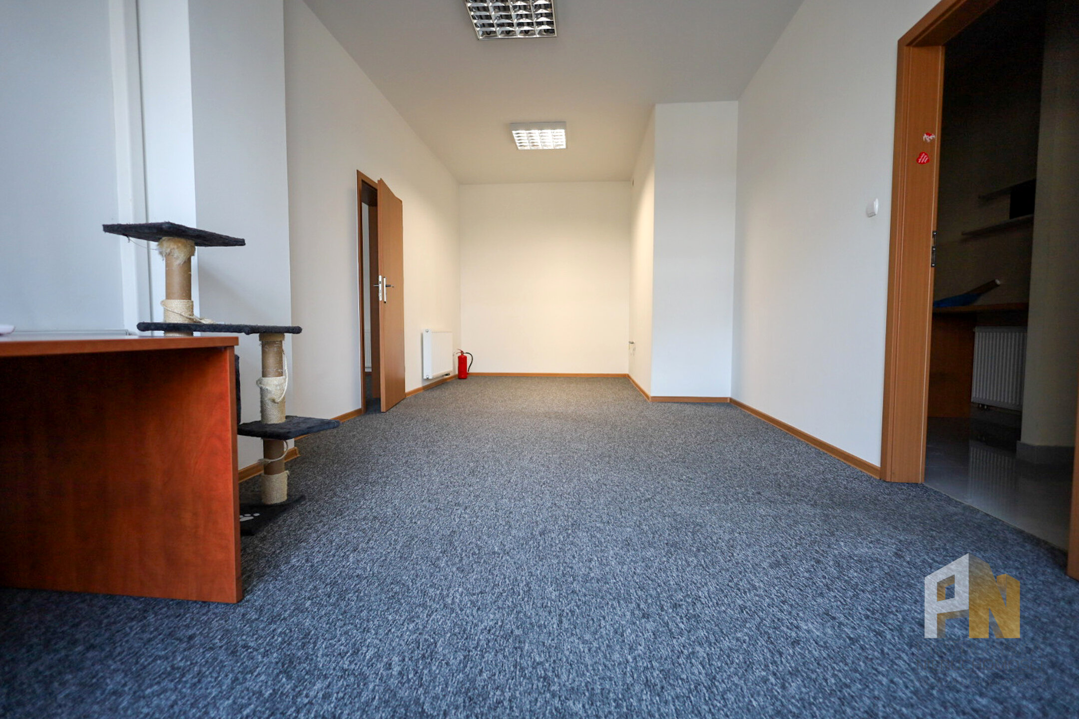 Lokal biurowy 50m2 do wynajęcia - zdjęcie 3