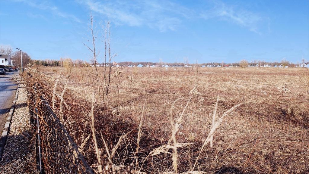 Działka budowlana 1,11 ha, Domaszczyn, Przylesie - zdjęcie 4
