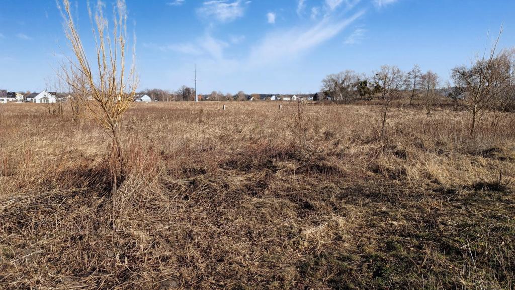 Działka budowlana 1,11 ha, Domaszczyn, Przylesie - zdjęcie 5