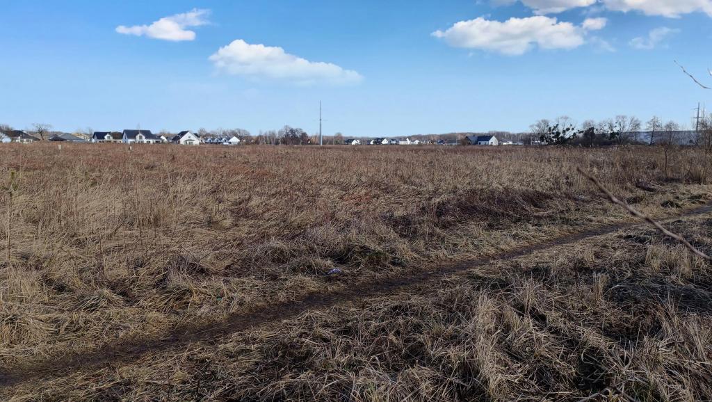 Działka budowlana 1,11 ha, Domaszczyn, Przylesie - zdjęcie 7