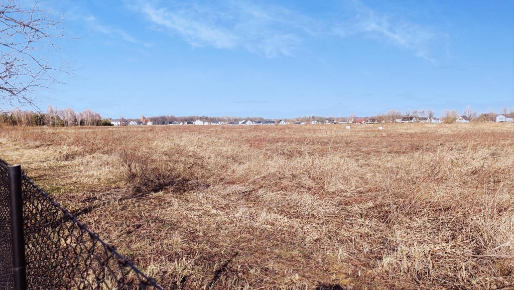 Działka budowlana 1,11 ha, Domaszczyn, Przylesie - zdjęcie 6