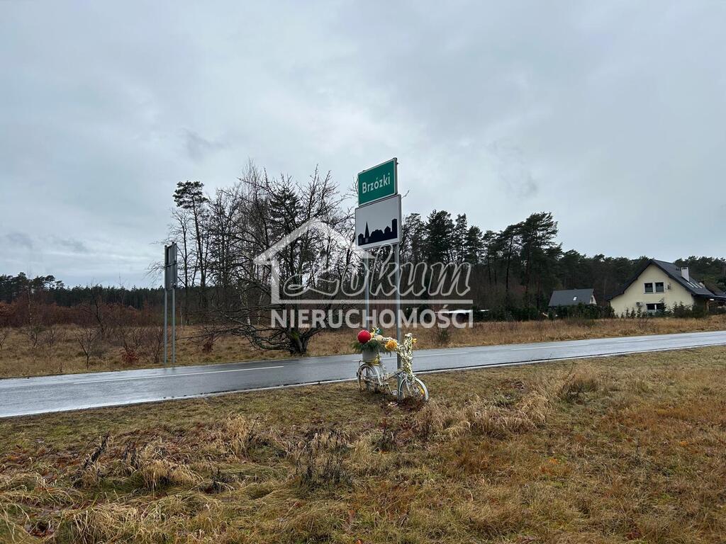 Działka budowlana 2337&nbsp;m², Brzózki - zdjęcie 1