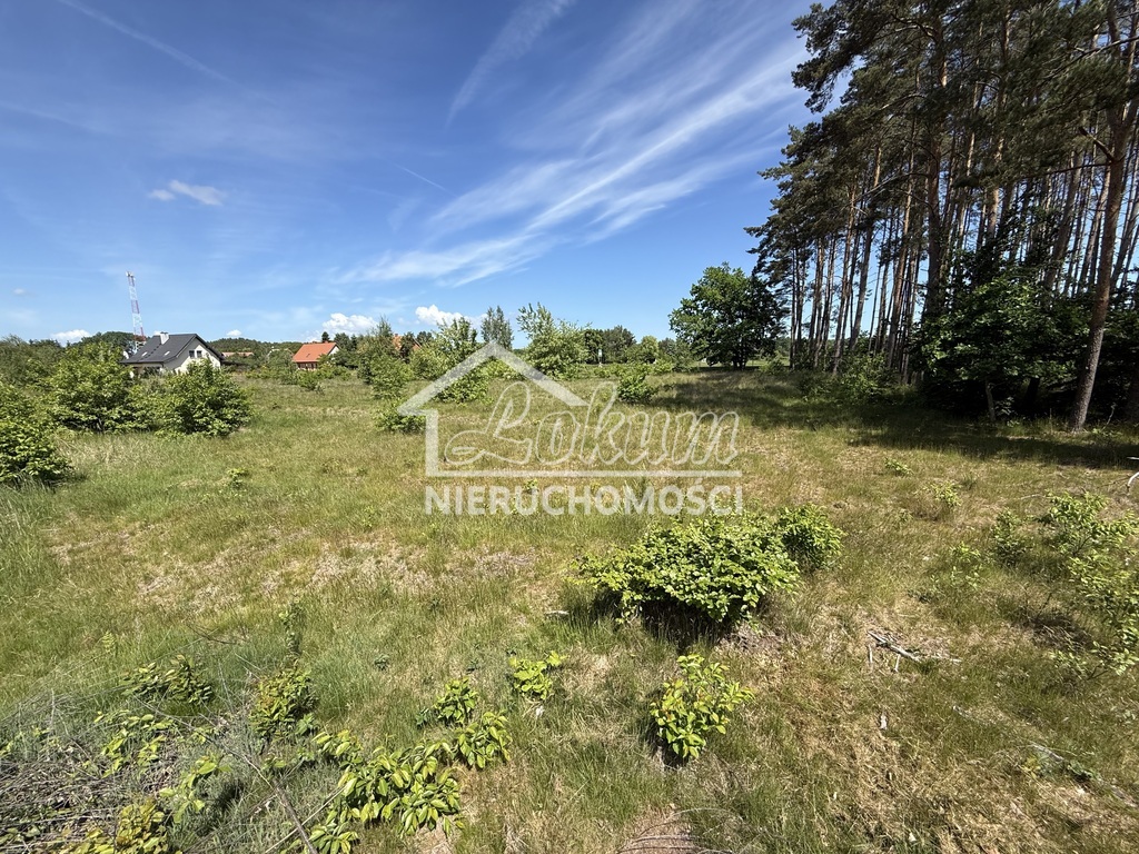Działka budowlana 2337 m², Brzózki - zdjęcie 3
