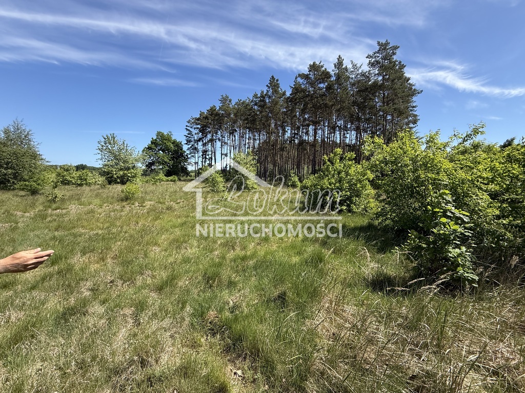 Działka budowlana 2337 m², Brzózki - zdjęcie 1