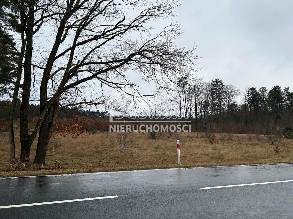 Działka budowlana 2337&nbsp;m², Brzózki - zdjęcie 2