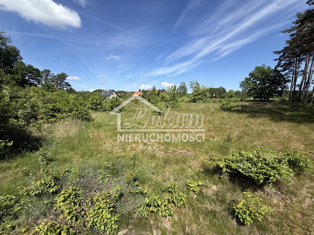 Działka budowlana 2337 m², Brzózki - zdjęcie 2