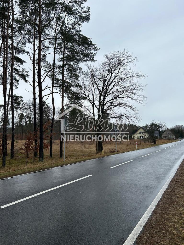 Działka budowlana 2337&nbsp;m², Brzózki - zdjęcie 5