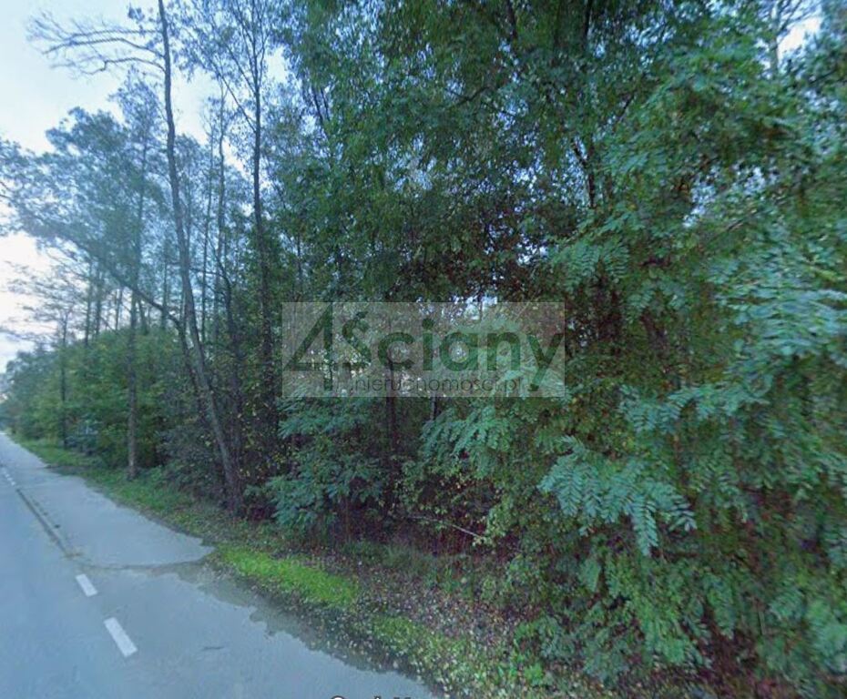 Działka budowlana 4000&nbsp;m², Książenice - zdjęcie 2
