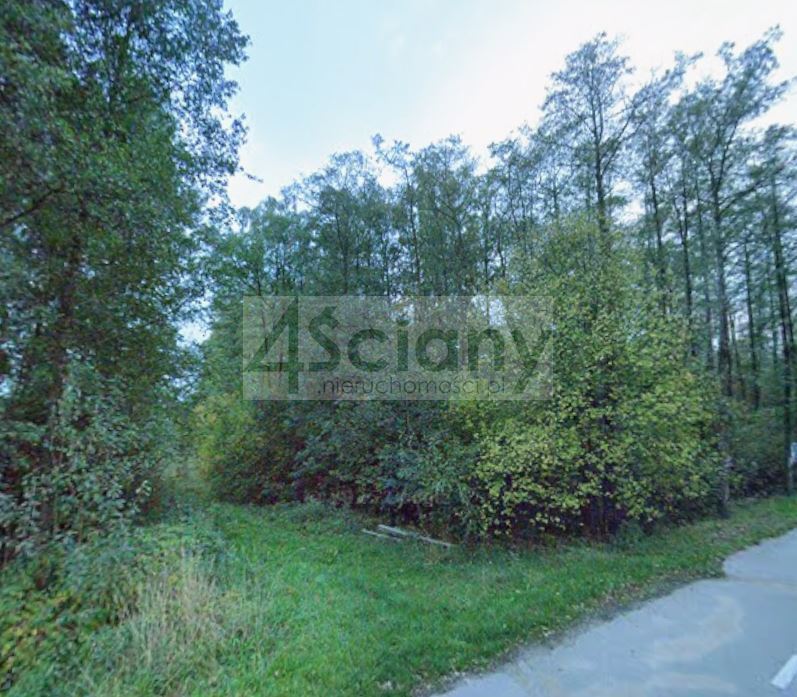 Działka budowlana 4000&nbsp;m², Książenice - zdjęcie 1
