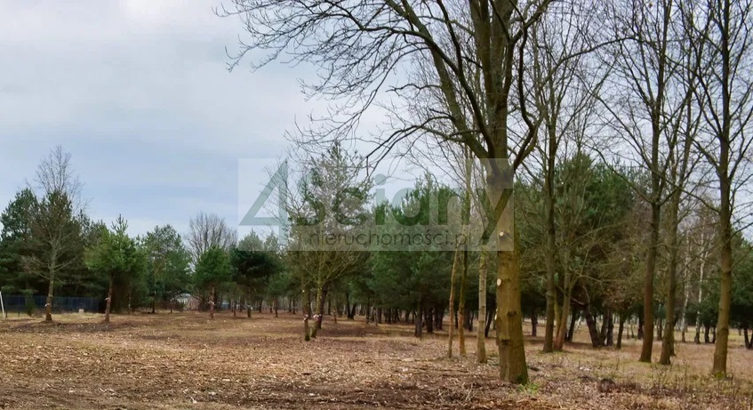 Działka budowlana 1000&nbsp;m², Huta Żabiowolska - zdjęcie 1